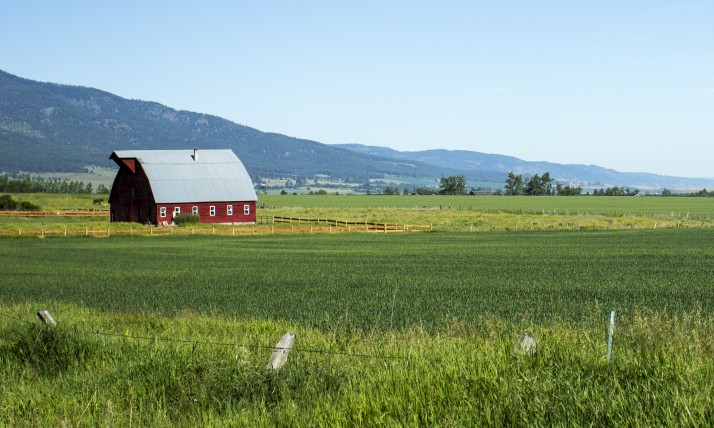 Blue skies, red barns, green fields...summer in Oregon!