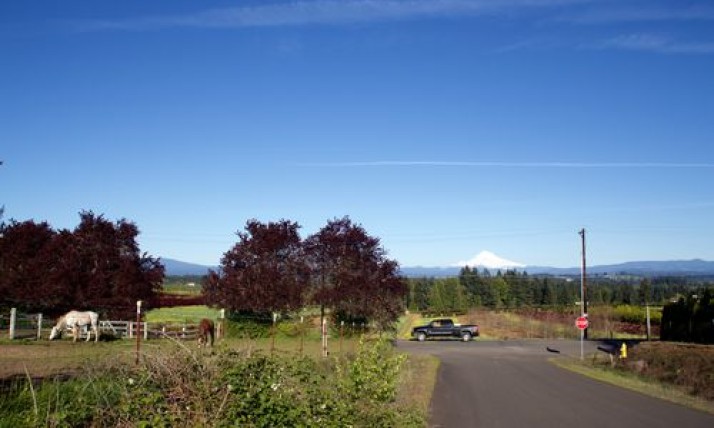 Historical photo of farmland, courtesy of the Oregonian