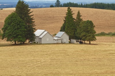 A farmhouse sits in the middle of a farmed field with trees
