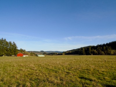 Photo of the Lazy M Ranch, with open field and red barn