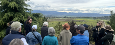 A group of people face away from the camera, looking out over a green open space