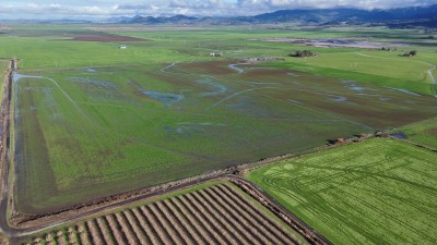 Flooded fields and wetlands near Harrisburg
