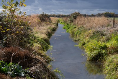 Little Muddy Creek running through farmland in Harrisburg