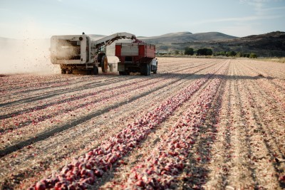 Farm equipment in a field