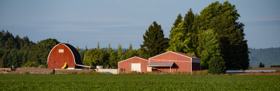 Red barns/farm buildings in a green field surrounded by green trees