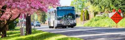 A bus with a readerboard that says, "To Oregon City" drives along a road with pink cherry blossoms and a "be prepared to stop" orange road construction sign