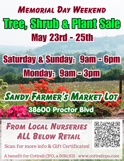 Memorial Day Weekend Tree, Shrub, and Plant Sale. May 23-25. Saturday and Sunday: 9 am to 6 pm. Monday: 9 am to 3 pm. Sandy Farmers Market Lot: 38600 Proctor Blvd. From local nurseries. All below retail. A benefit for Cottrell CPO, a 501(c)(3) www.cottrellcpo.com