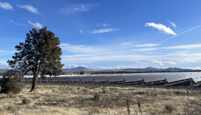 A vast, arid landscape with solar panels and a lone ponderosa pine in the foreground and distant mountains