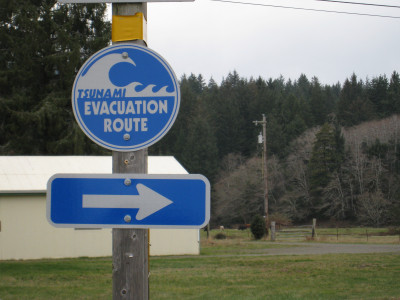 A round, blue "Tsunami Evacuation Route" sign with a directional arrow pointing to the right. This is in a forested setting (near Tillamook, Oregon).
