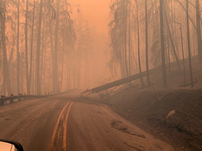 An eerie forest scene with hazy, orange lighting and a broken tree across a two-lane road.