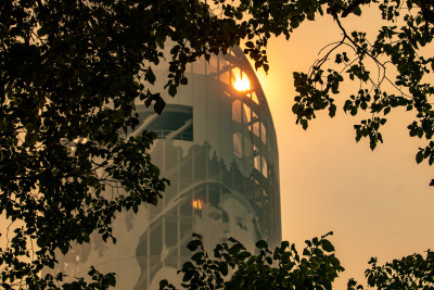 A tower with an image of a woman's face and trees on it is framed by tree branches. The sun is shining through a window at the top of the tower. The air is orange and hazy from wildfire smoke.