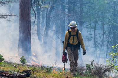 A firefighter with a torch in a smoky forest during a prescribed burn