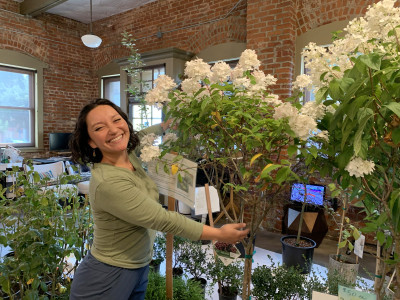 A smiling woman hugs a flowering tree in an office filled with many plants