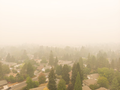 A suburban neighborhood with lots of trees, covered with thick, yellowish smoke