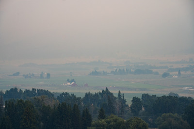 Aerial view of farmland blanketed in thick smoke