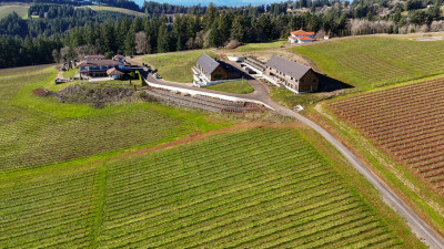 Aerial view of mansion-sized boutique hotels on farmland