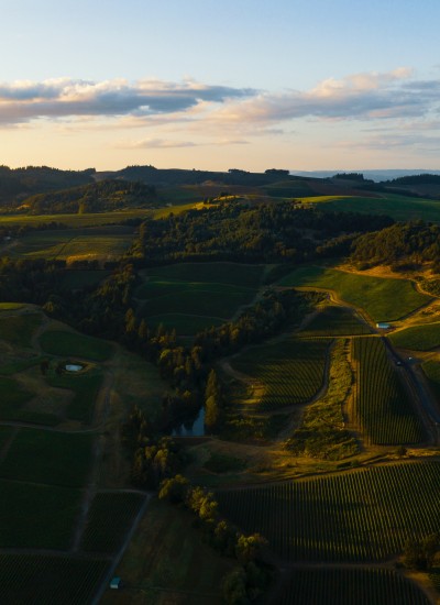 Aerial landscape shot of the Willamette Valley near Salem