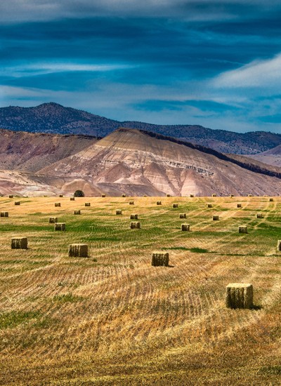 Bales of hay sit on an open field beside John Day Fossil Beds