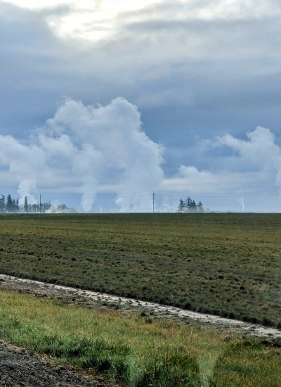 White vapor rises from ground level in the distance, looking over an open green field