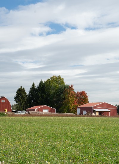 A trio of red farm buildings stands behind a green open field