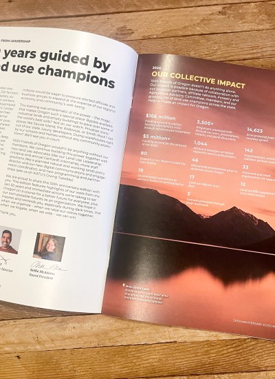 Interior of the 2024 annual report