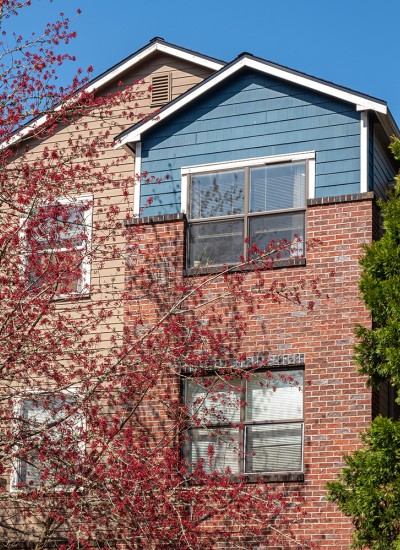 A multi-unit apartment building with trees