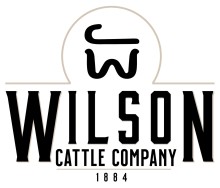 Wilson Cattle Co logo