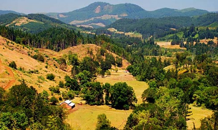 Farm and forest land in Douglas County