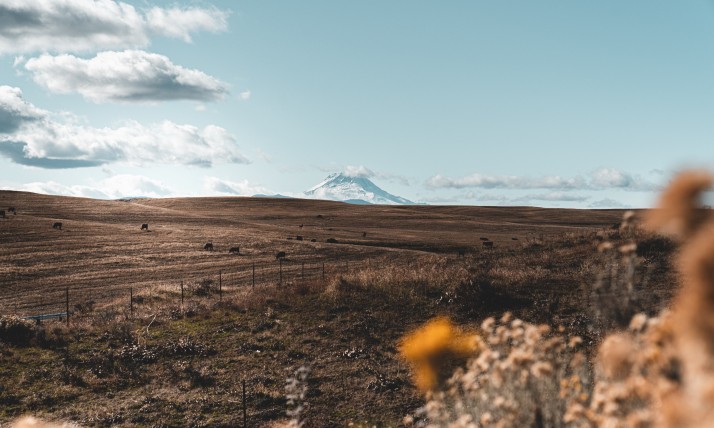 Oregon landscape