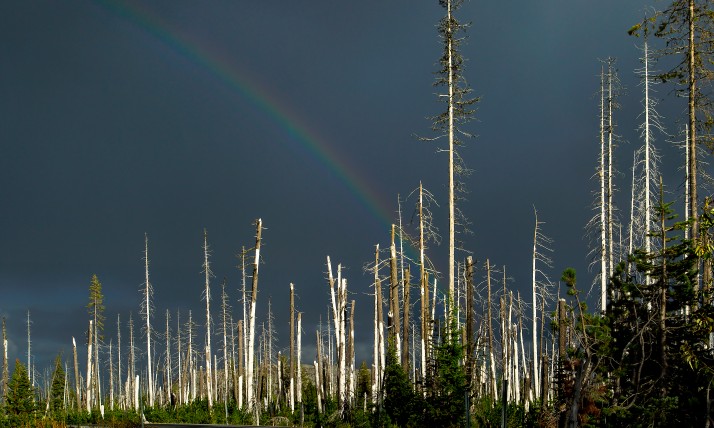A rainbow shines through dark skies after a wildfire