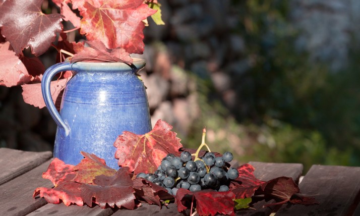 Autumn table with leaves, grapes, and a handmade pitcher