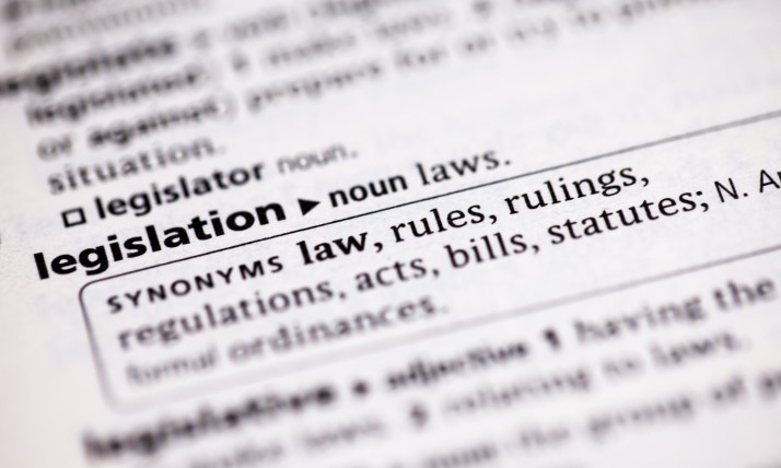 zoomed in picture of legislation definition