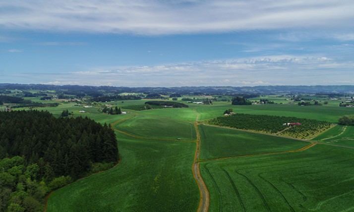Aerial shot of farmlands near Hillsboro