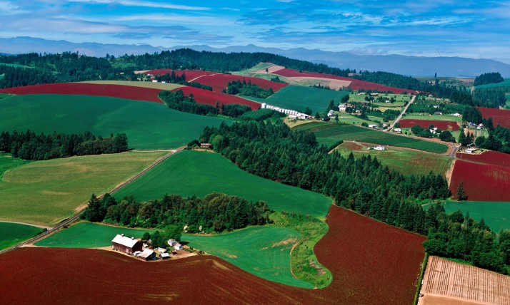 Aerial photo of farms with patchwork of green and dark red crops on a sunny day