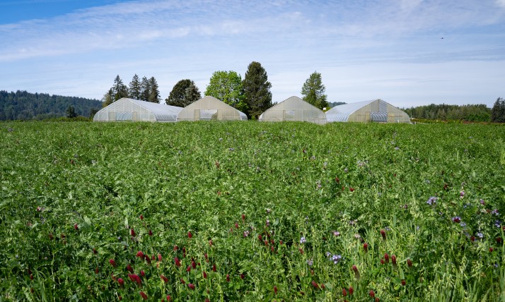 Green houses on Headwaters farm
