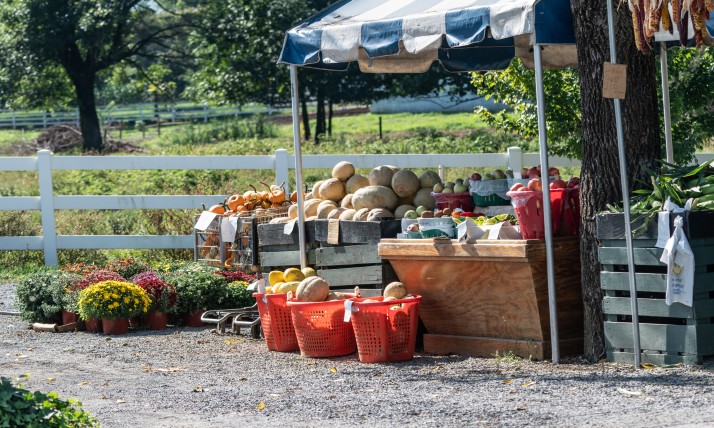 fruit farm stand