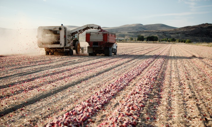 Farm equipment in a field