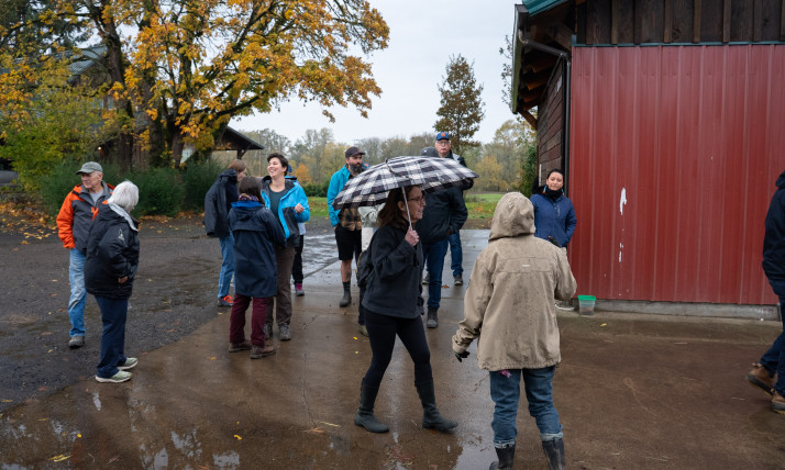 A group of people walk past a red barn and a tree with yellow foliage