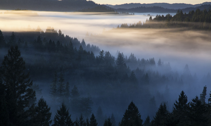 Fog between forested hills at sunrise