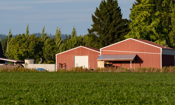 A group of red farm buildings, including a classic red barn, with some large green trees next to them.