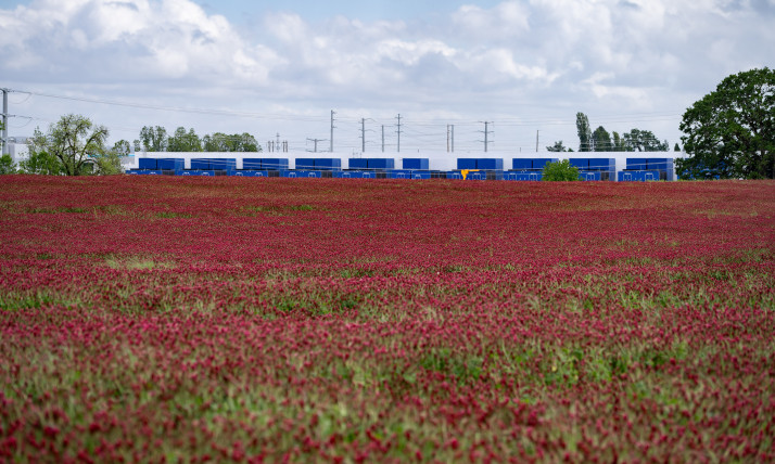 Blue and white, windowless data center buildings behind a red crimson clover field
