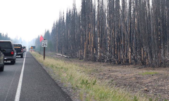 A line of cars is backed up along a highway. The air is hazy and the trees alongside the roadway are burnt.