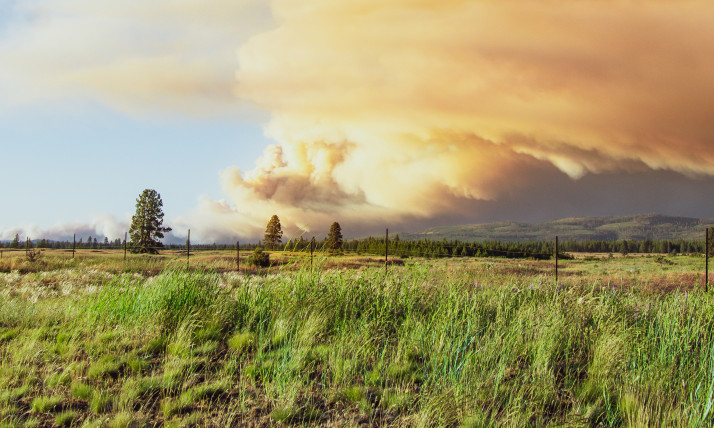 A large column of smoke moving from right to left across a vast landscape with grass and a smattering of trees