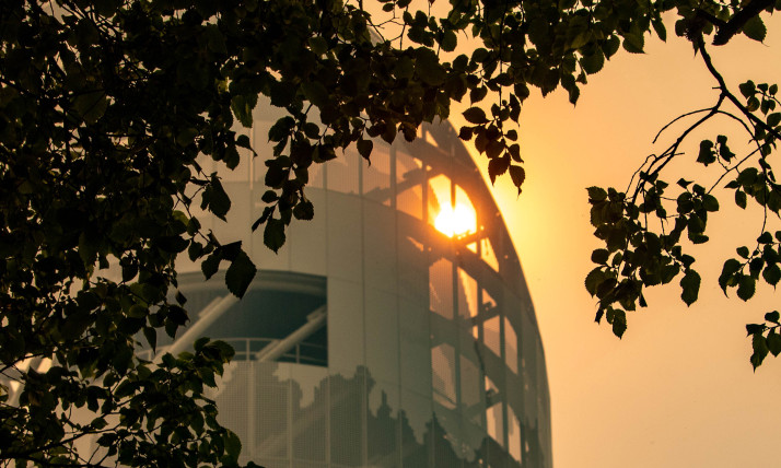 Tree branches frame the sun peering through a window of a skyscraper. The air is orange and hazy from wildfire smoke.