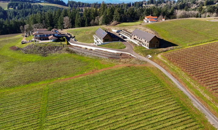 Aerial view of mansion-sized boutique hotels on farmland