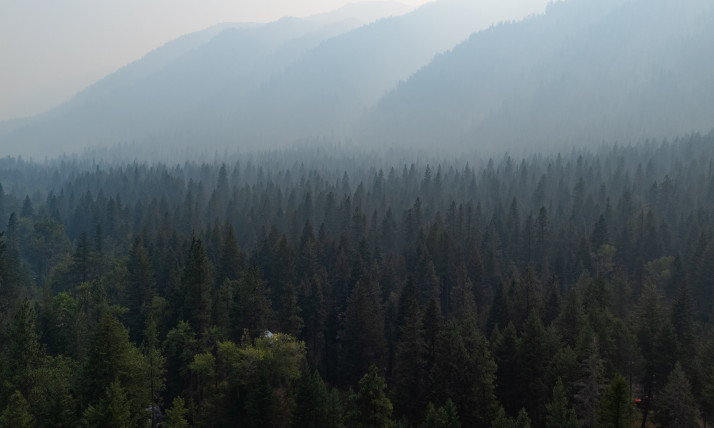 Layered, forested hills that are increasingly obscured by thick haze as they recede into the distance