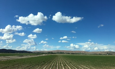 Eastern Oregon Working Lands