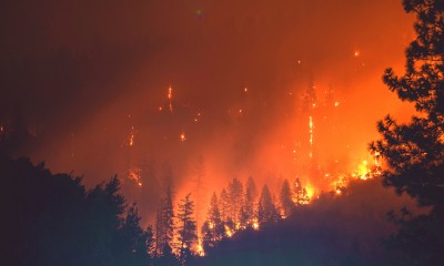 Photo of a wildfire