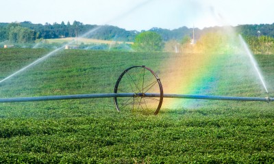 Rainbow in the mist of a farm field