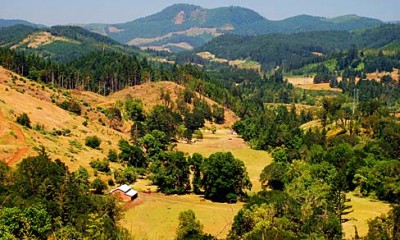 Farm and forest land in Douglas County